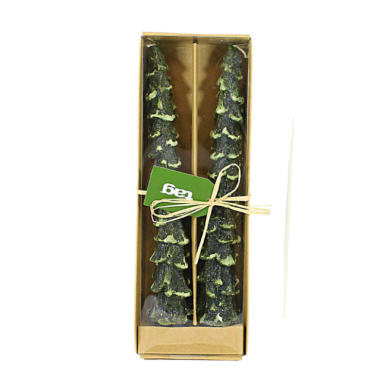 Tag Spruce Taper Candles Set/2 - - SBKGifts.com