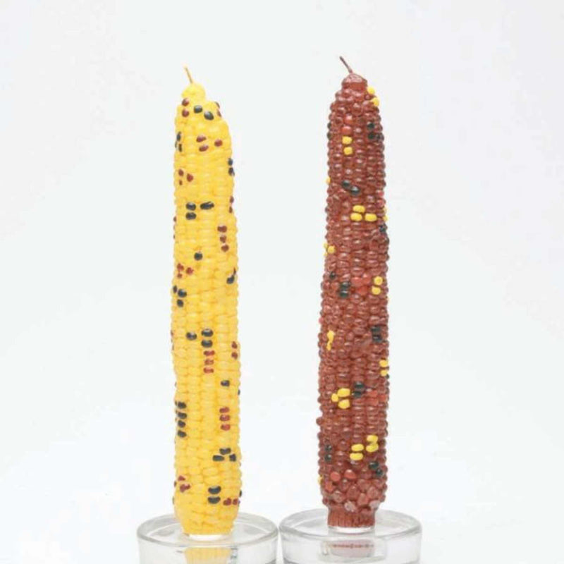 Tag Harvest Corn Taper Candles Set/2 - Two Taper Candles Inch, - Indian Corn Autumn Thanksgiving 710973 (60203)