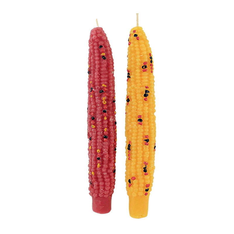 Tag Harvest Corn Taper Candles Set/2 - - SBKGifts.com