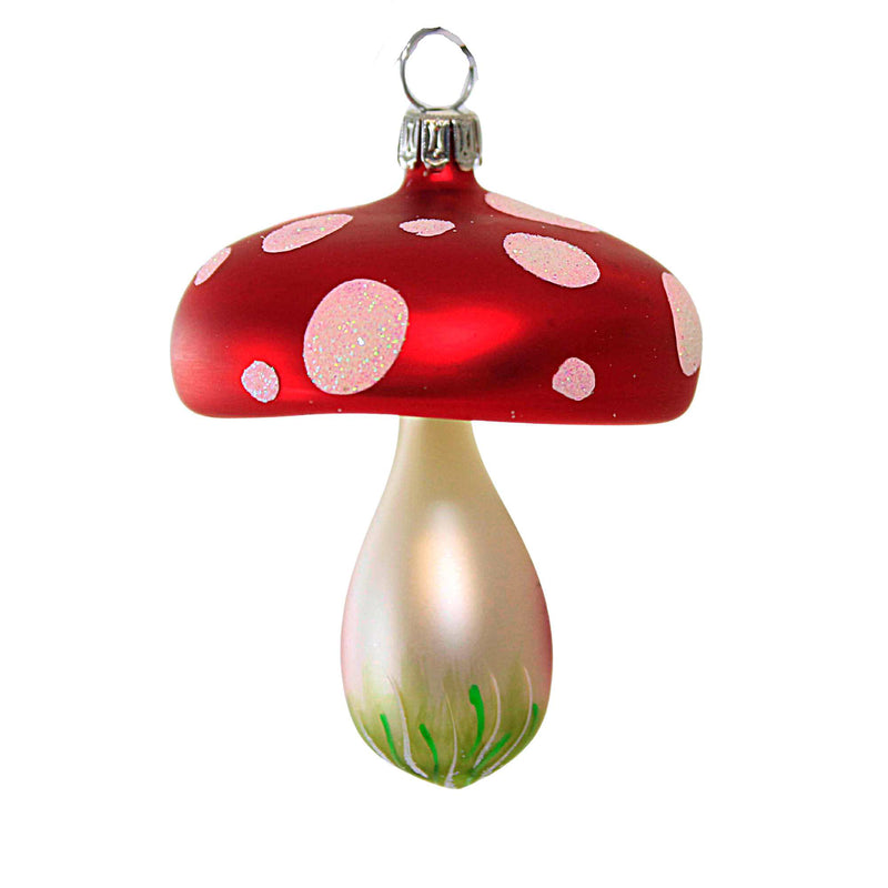Heartfully Yours 23 Mushroom Max A Single Digit Edition Number - - SBKGifts.com