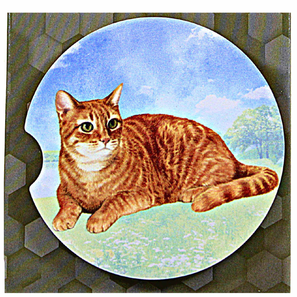 E & S Imports Orange Tabby Car Coaster - - SBKGifts.com