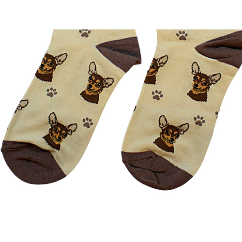 E & S Imports Chihuahua Sock Daddy - - SBKGifts.com