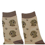 E & S Imports Weimaraner Sock Daddy - - SBKGifts.com