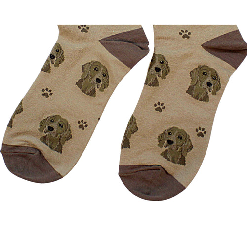 E & S Imports Weimaraner Sock Daddy - - SBKGifts.com