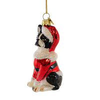 Boston Terrier