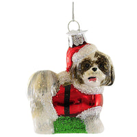 Shih Tzu BL/WH