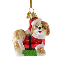 Shih Tzu Tan