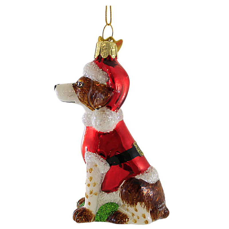 German Pointer