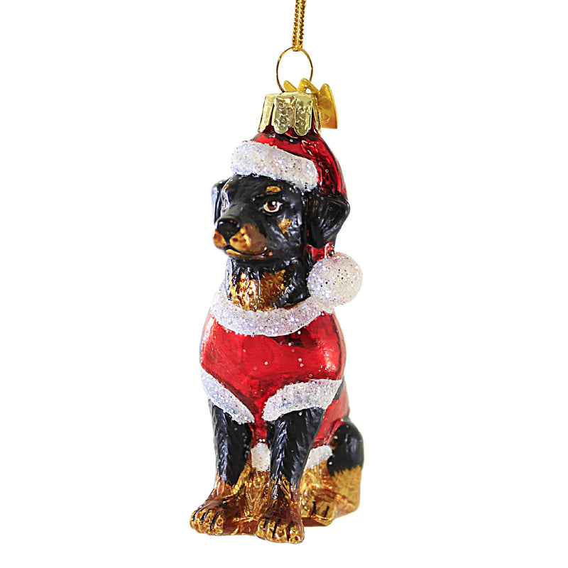 Rottweiler