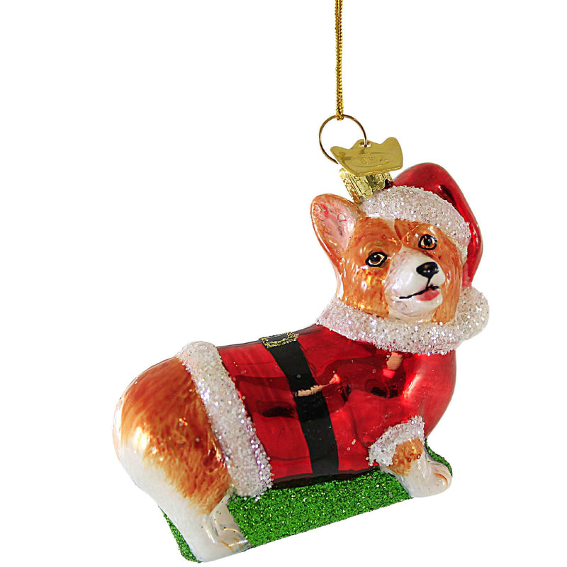 Corgi