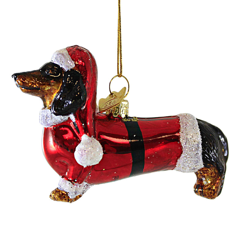 BLK Dachshund