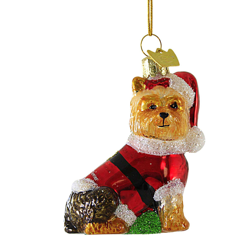 Yorkie