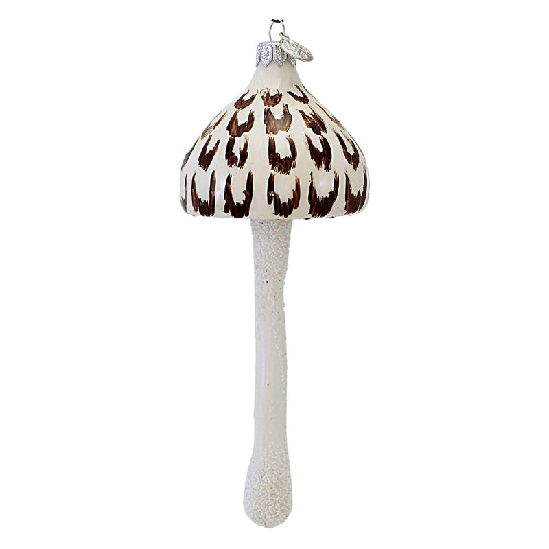 Morawski Ornaments Brown & White Mushroom - 1 Glass Ornament 7.5 Inch, Glass - Ornament Shaggy Parasol 19011 (60728)