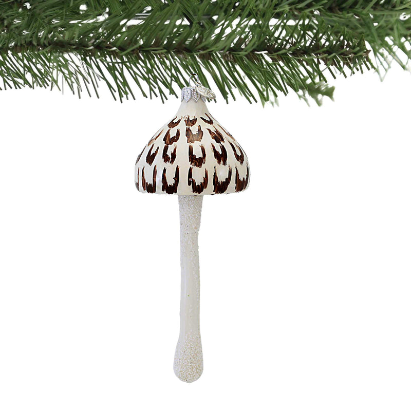 Morawski Brown & White Mushroom - - SBKGifts.com