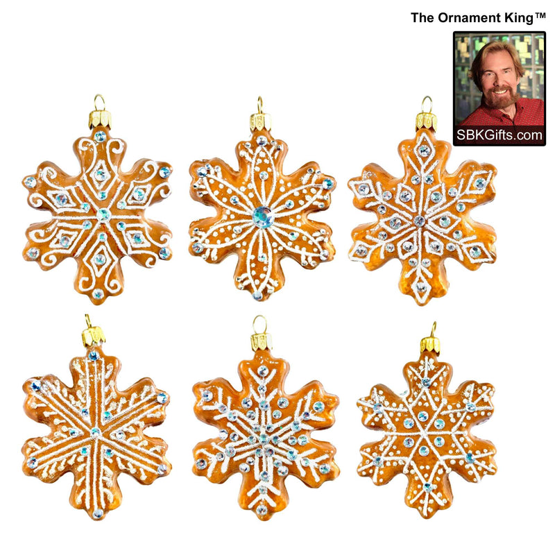 Preorder Hy 24 Gingersnap - 6 Glass Ornaments Inch, - Christmas Cookie Food Ornament 24 30201 Set6 (61060)