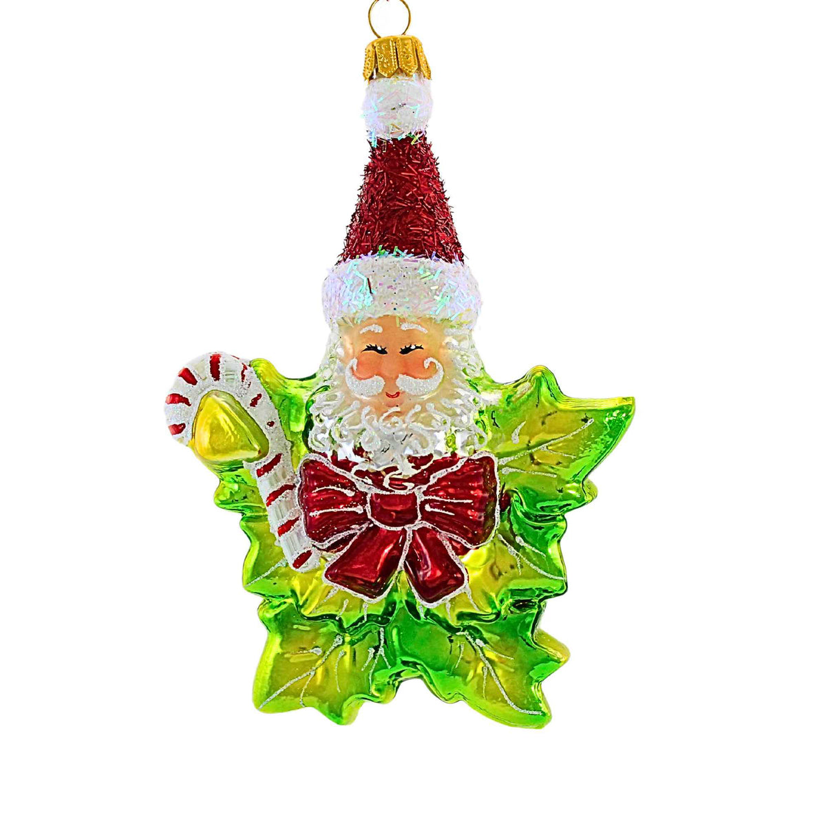 (61131) Holly Star
