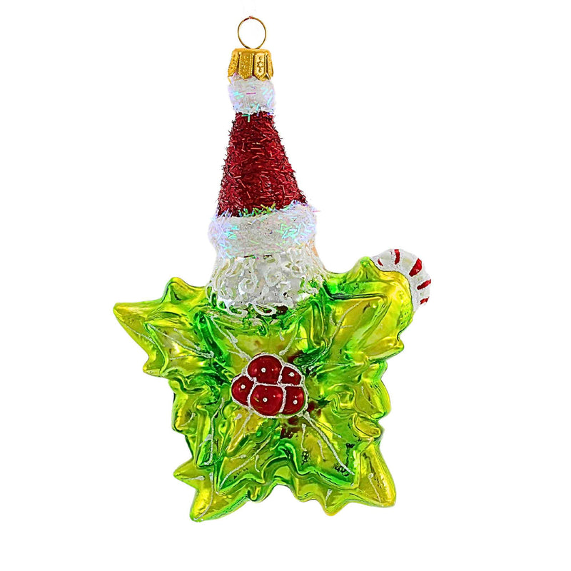 The Ornament King Holly Star - - SBKGifts.com
