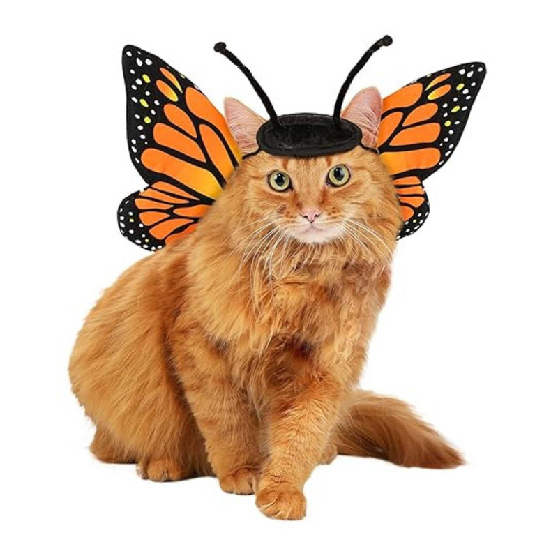Pets Butterfly Dog Or Cat Halloween Costume Large  New - - SBKGifts.com