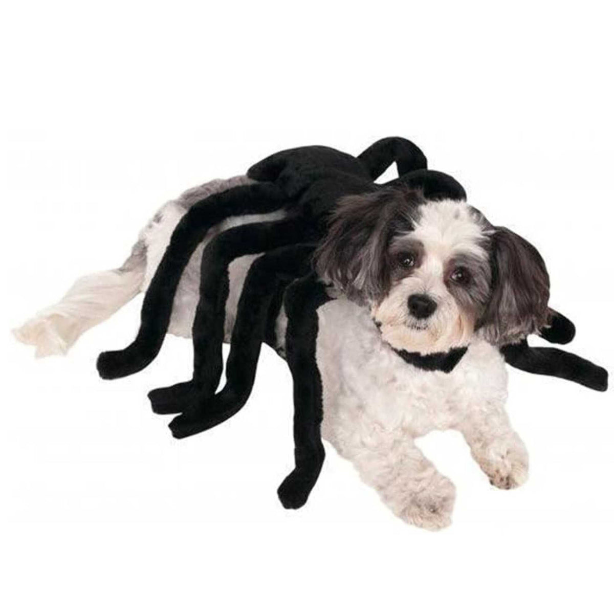 (61517) Pets Spider Dog Halloween Costume Medium  New