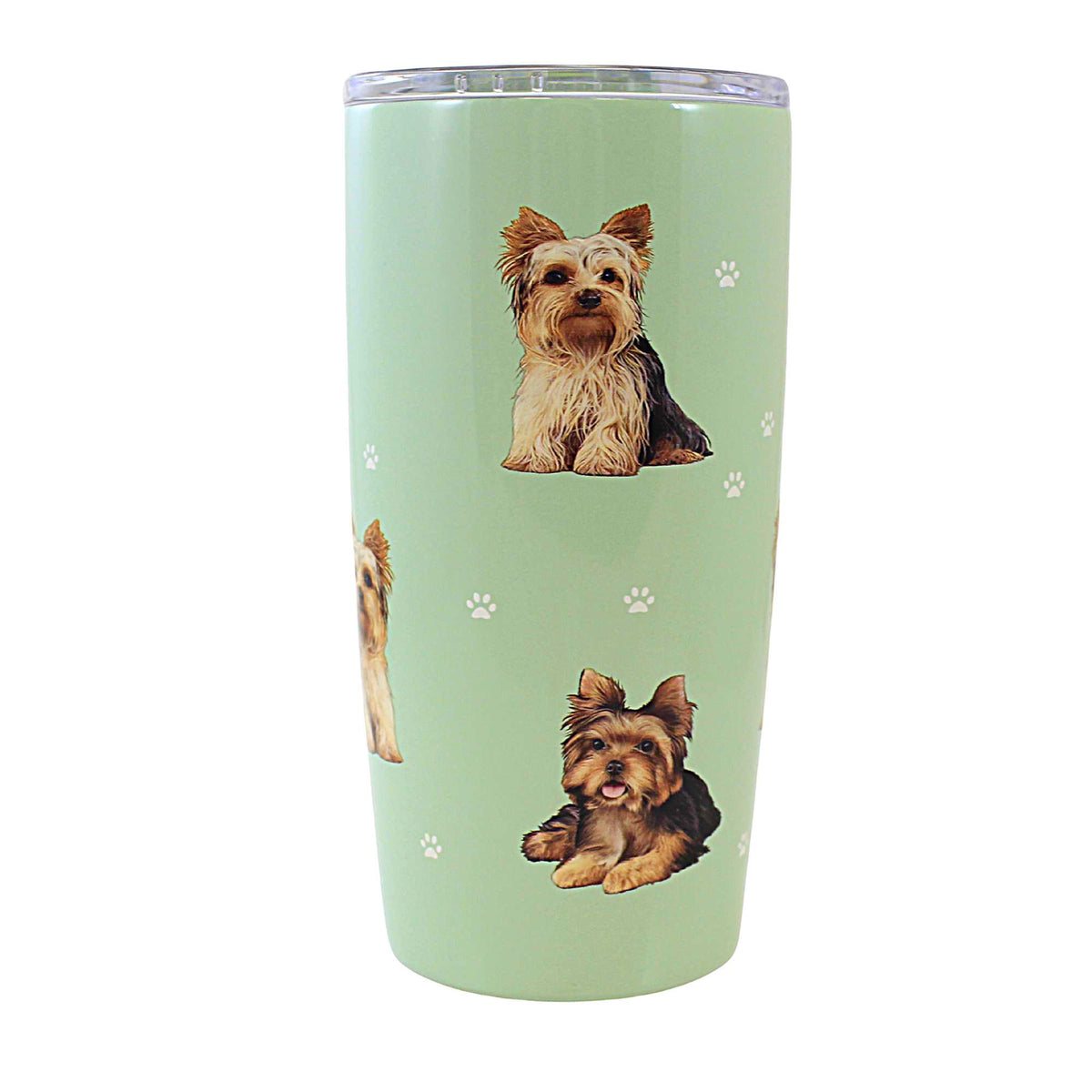 (61653) Yorkie Serengeti