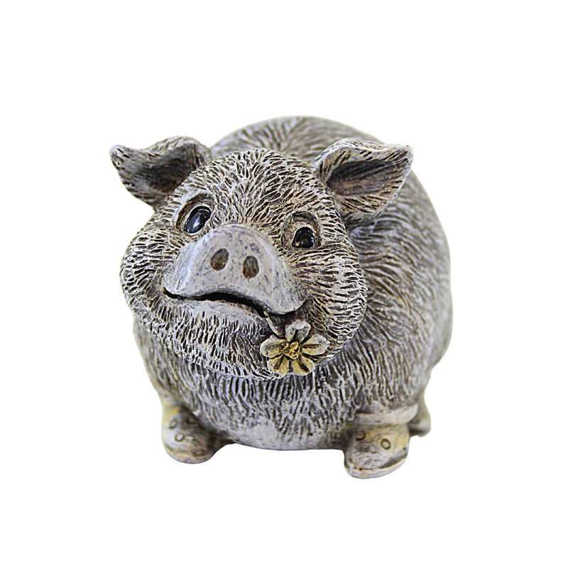 Pig