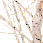 Kurt S. Adler Birch Tree Twinkle Lights - - SBKGifts.com