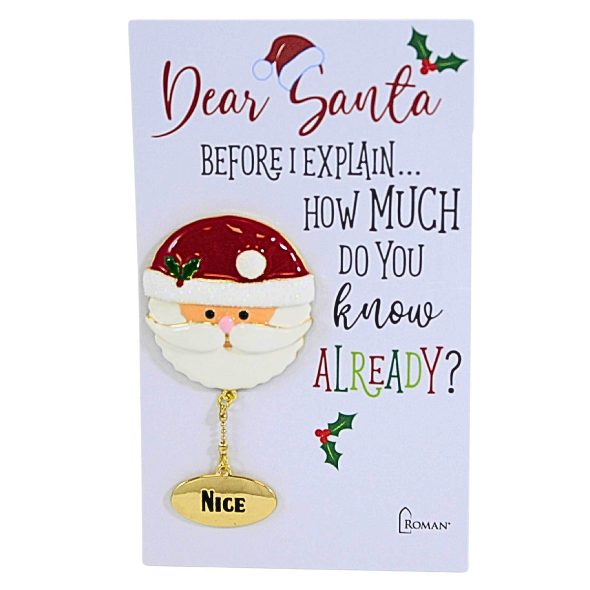 (62509) Santa Pin