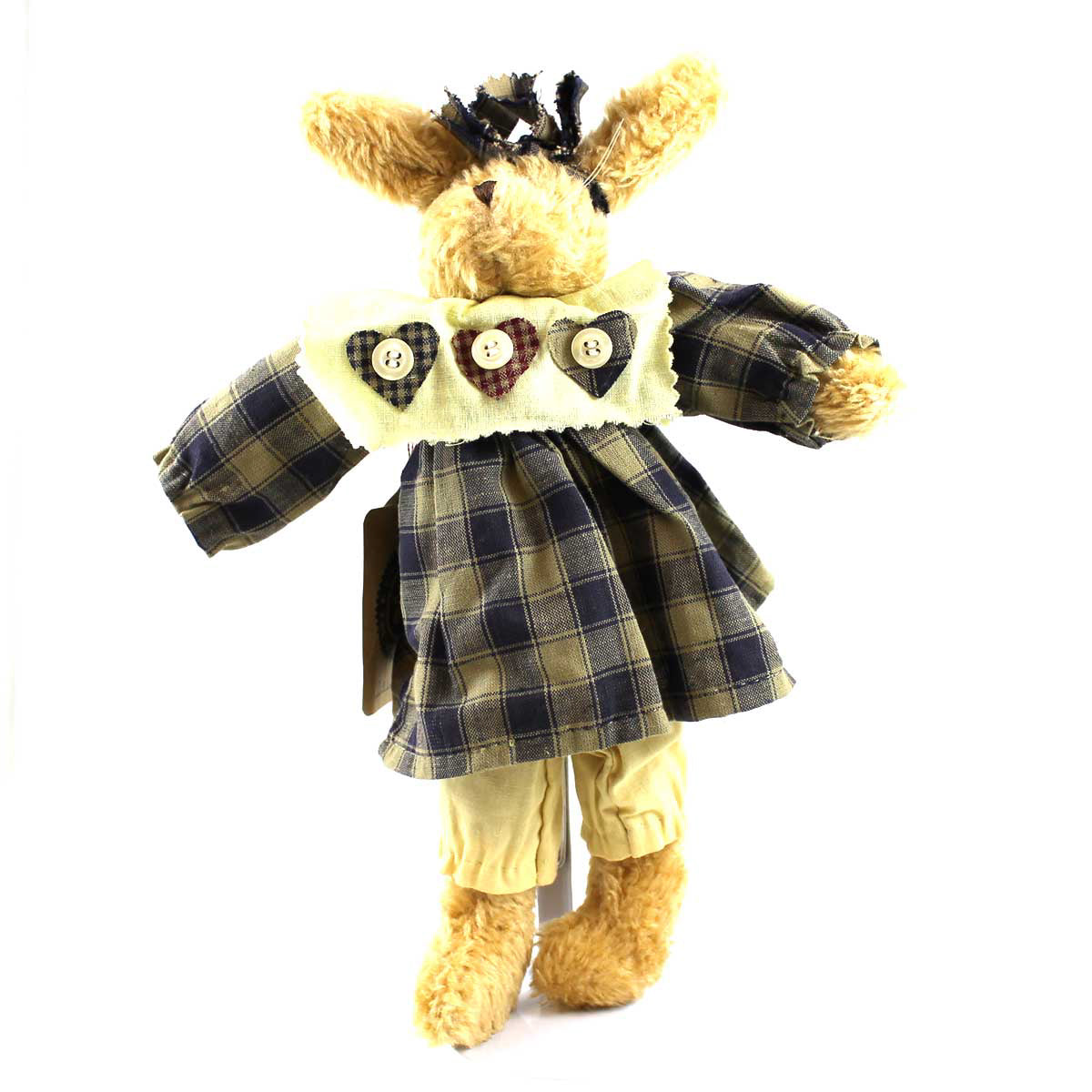 (6252) Daisey