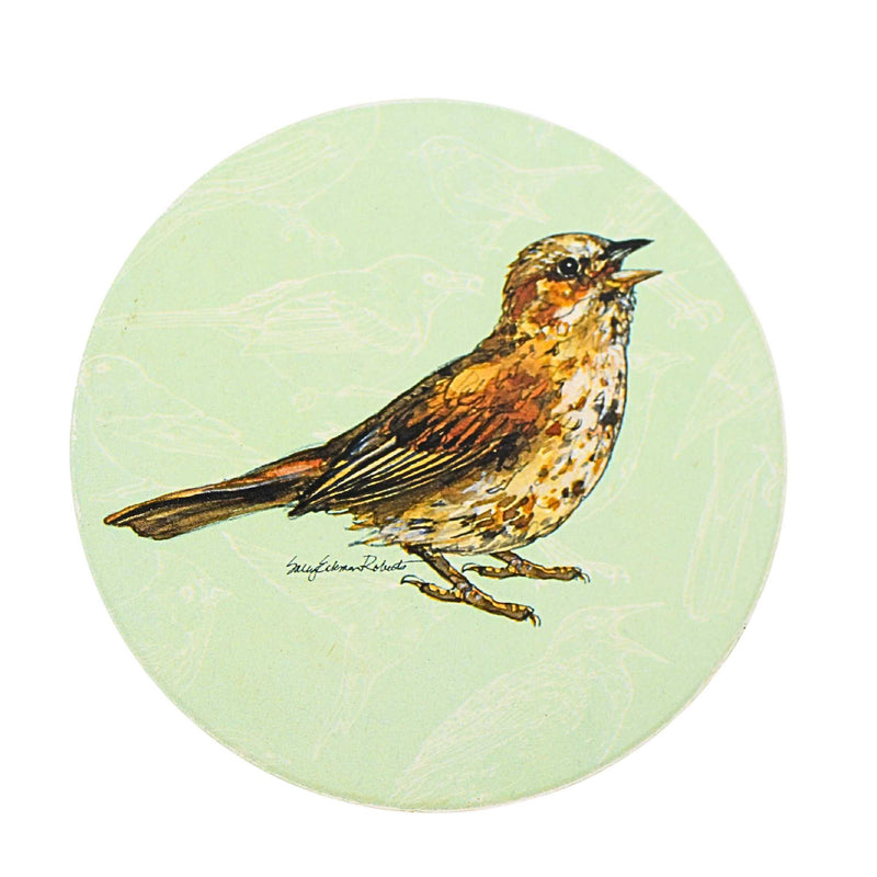 Brown Thrasher