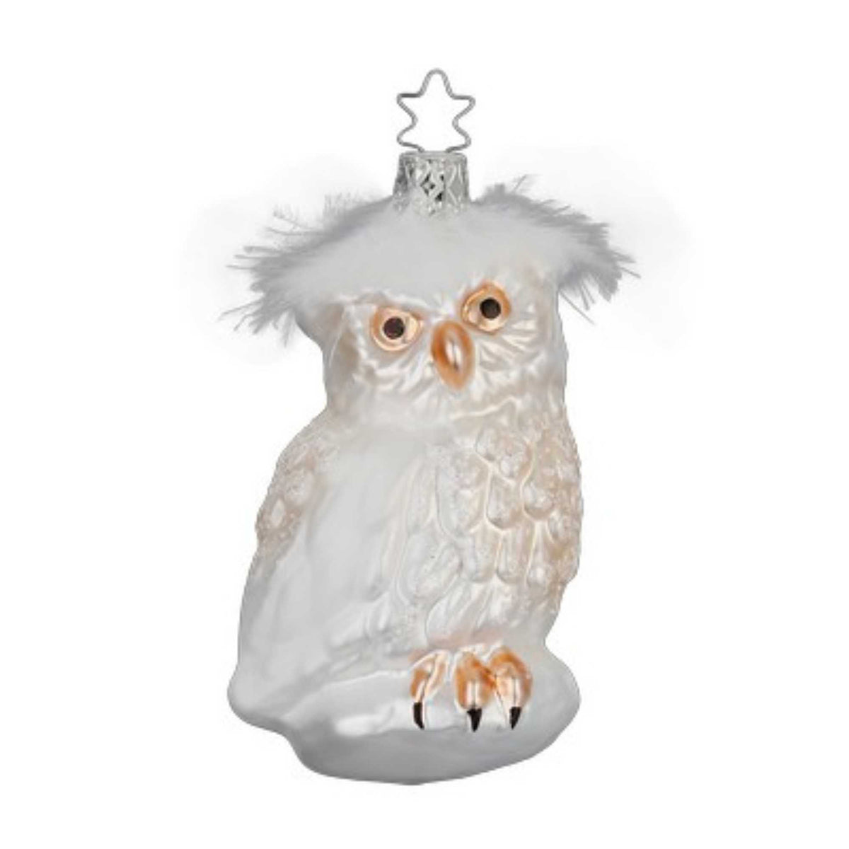 (63100) Snow Owl