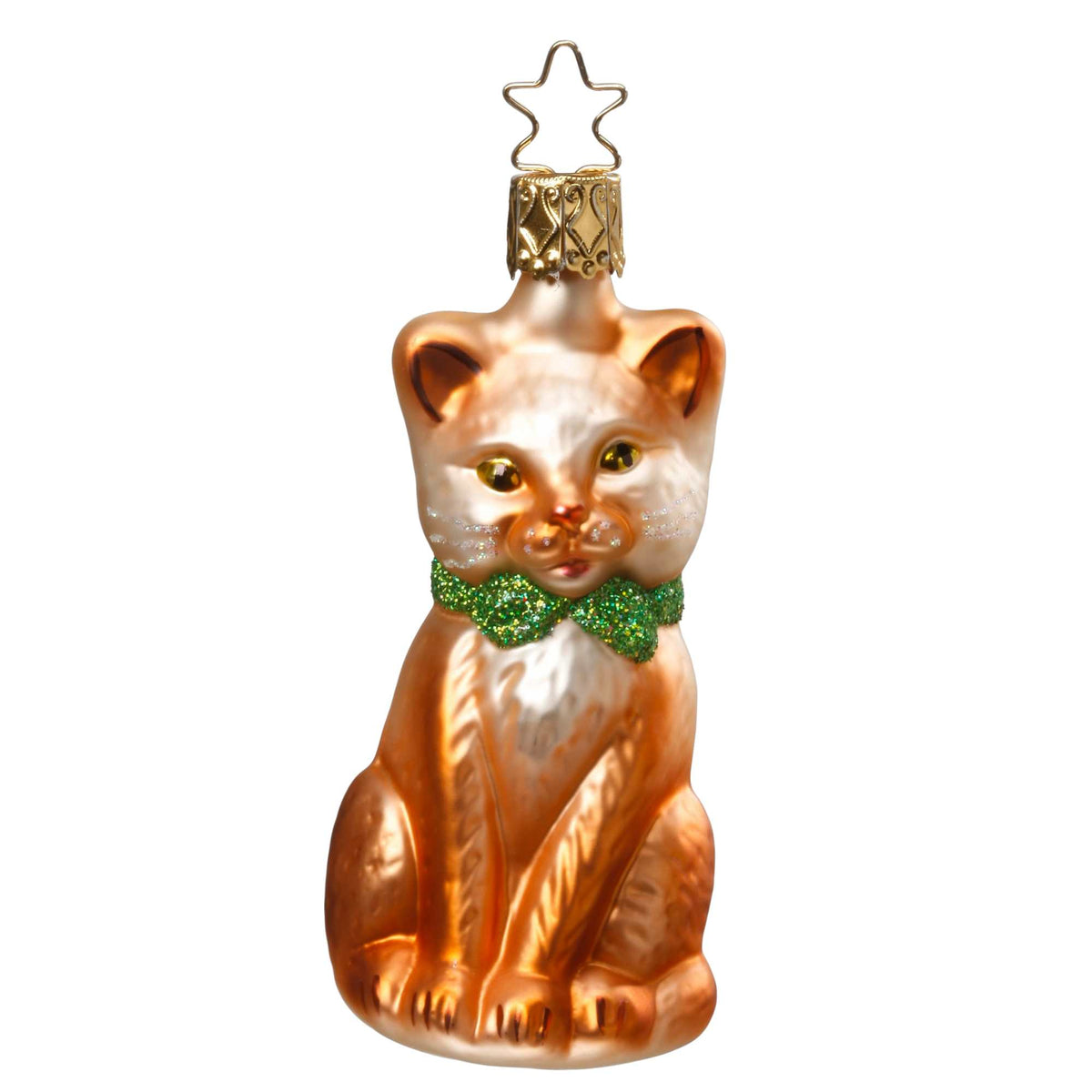 (63113) Purr-Fect Brown