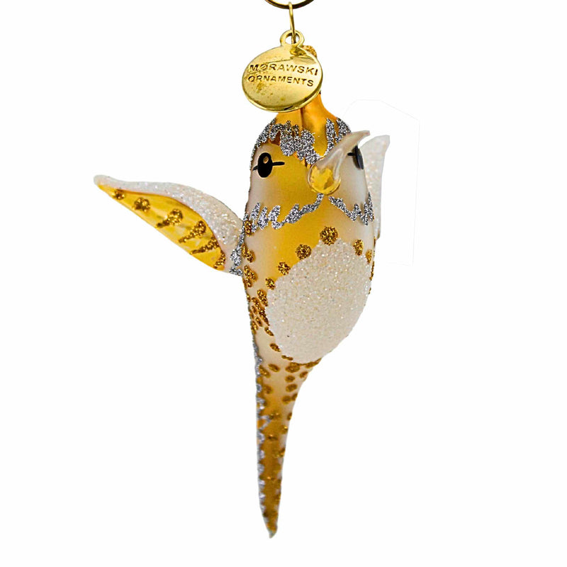Morawski Transparent Hummingbird - - SBKGifts.com