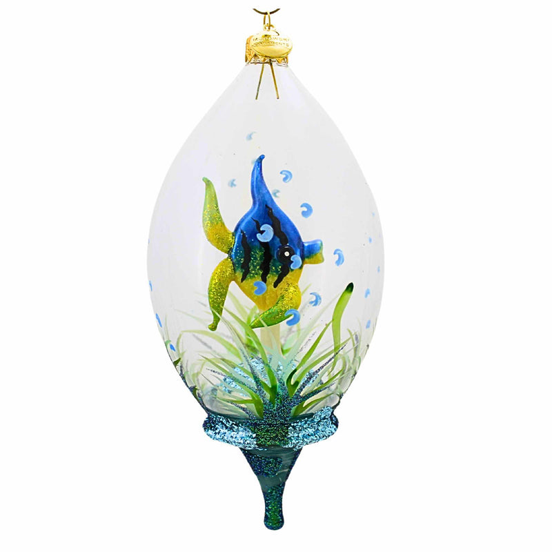 Morawski Blue Angelfish In Dome - - SBKGifts.com