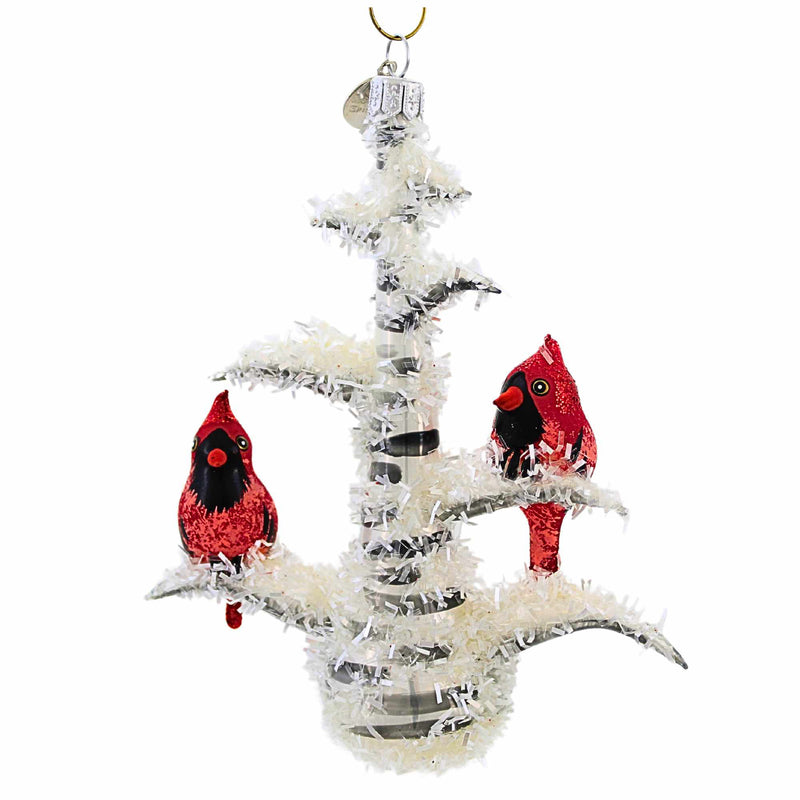 (63477) Cardinal Birds On Birch Tree