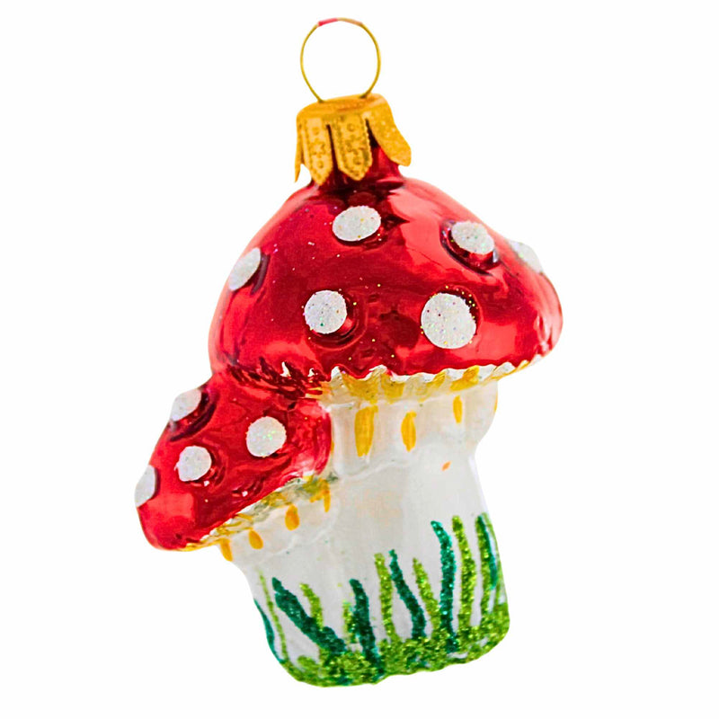 The Ornament King Toadie Twinklers - - SBKGifts.com