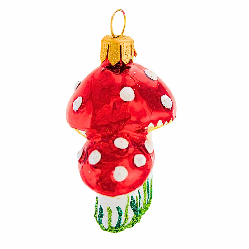 The Ornament King Toadie Twinklers - - SBKGifts.com