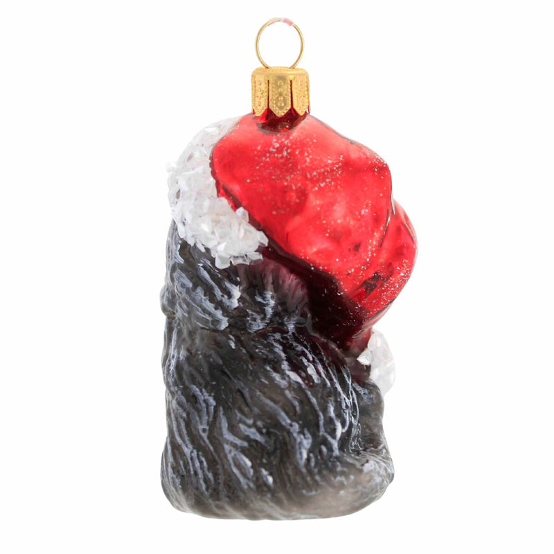 Ornament King Kitty Claws - - SBKGifts.com