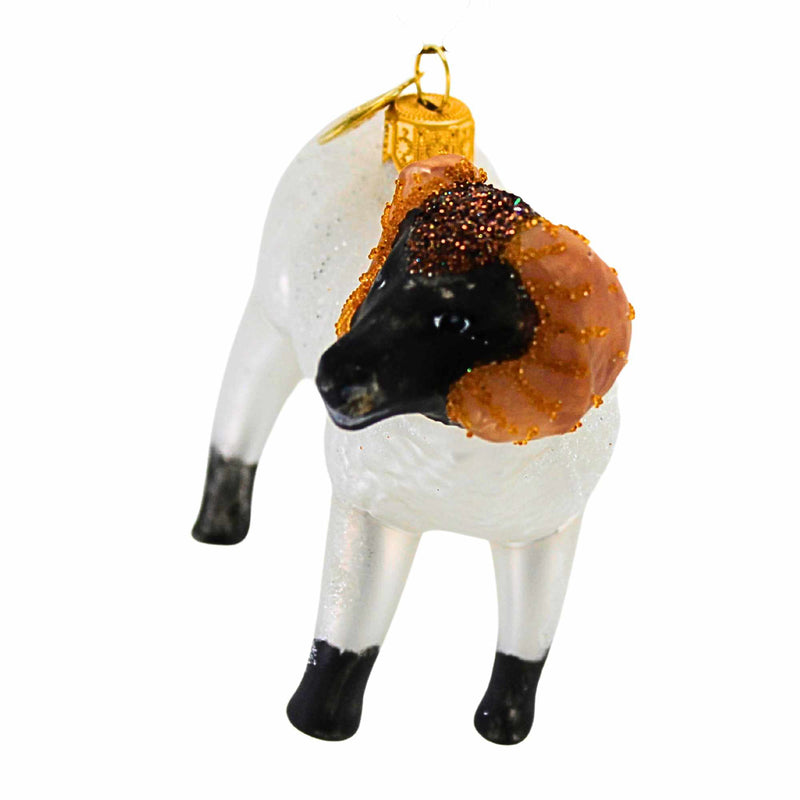Morawski Ram - - SBKGifts.com