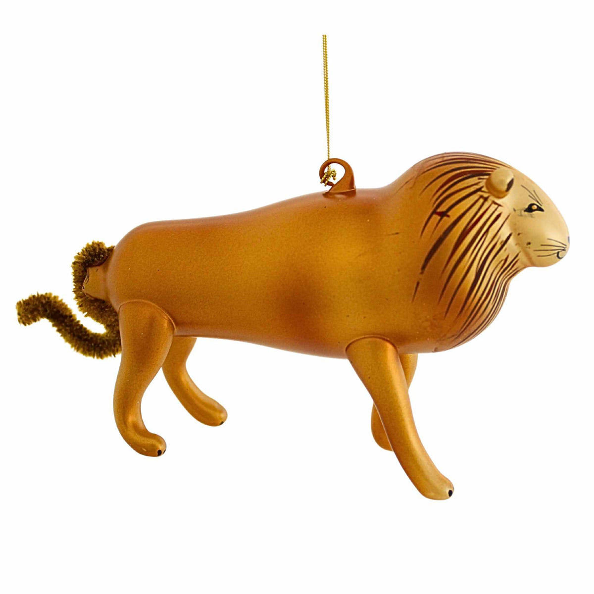 (64440) Augustus Roar