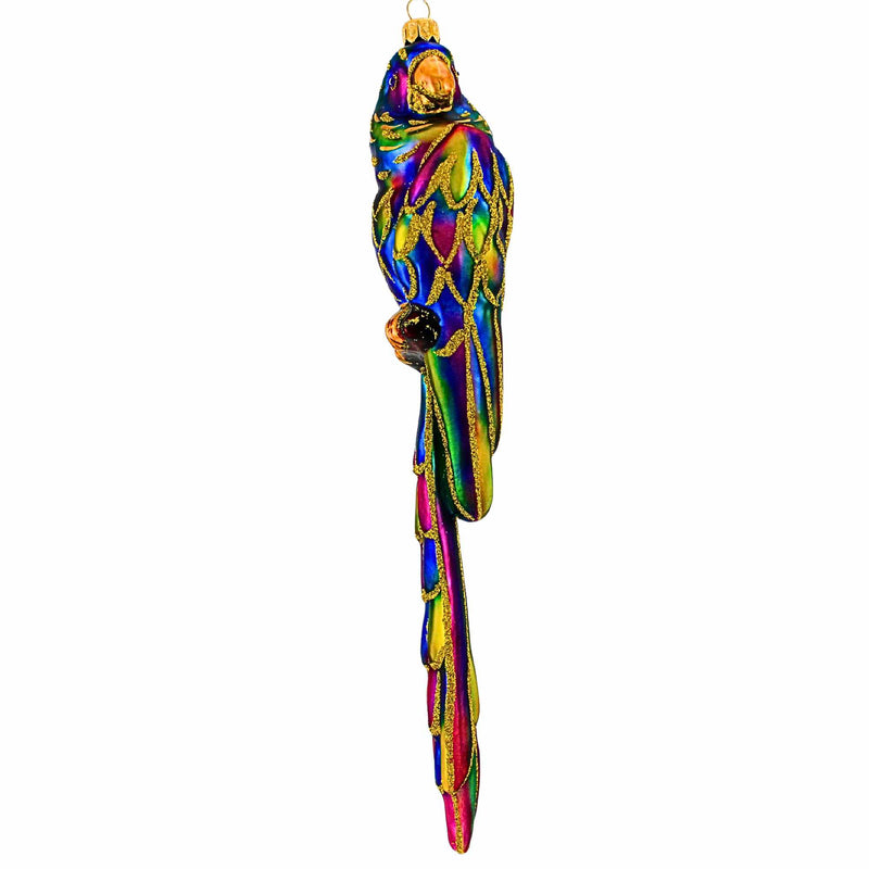 Metzler Bros. Parrot Big 2 - - SBKGifts.com