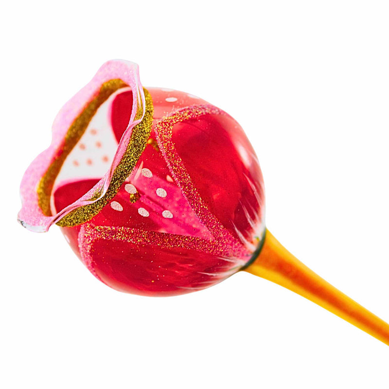 Metzler Bros. Crimson Love Blossom - - SBKGifts.com