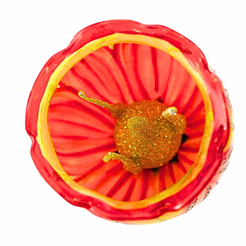 Metzler Bros. Radiant Sunset Bloom - - SBKGifts.com