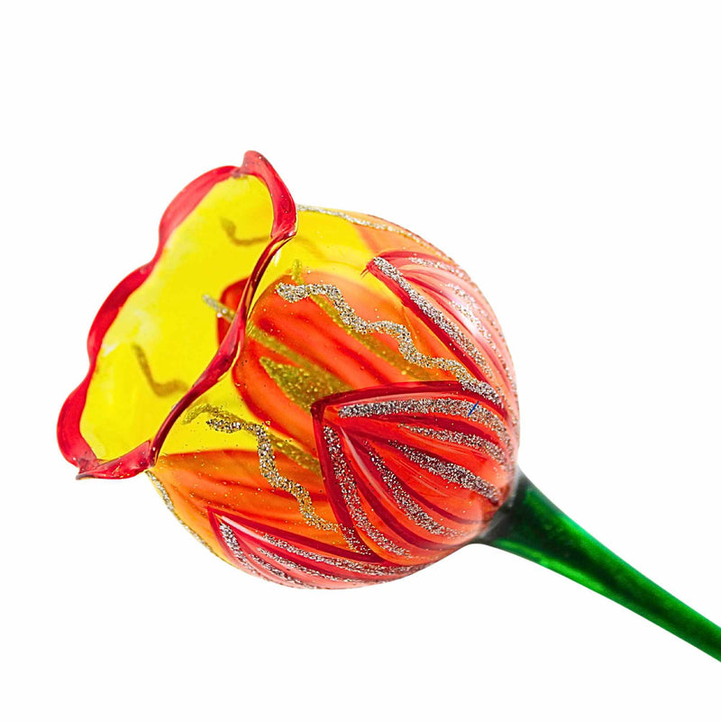 Metzler Bros. Radiant Sunset Bloom - - SBKGifts.com