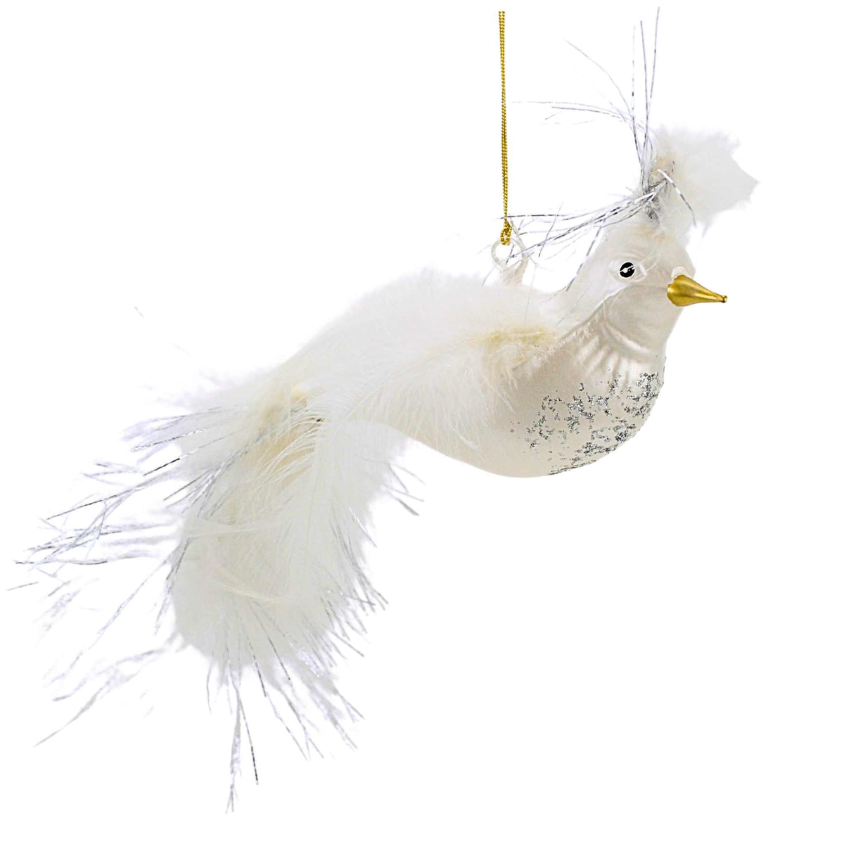 (64656) Snowplume Dove