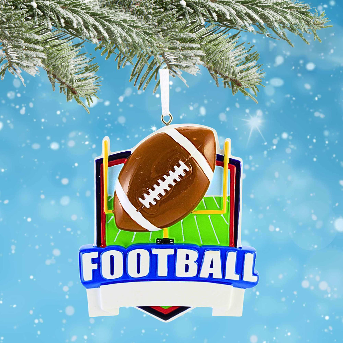 Polarx Football Shield - - SBKGifts.com
