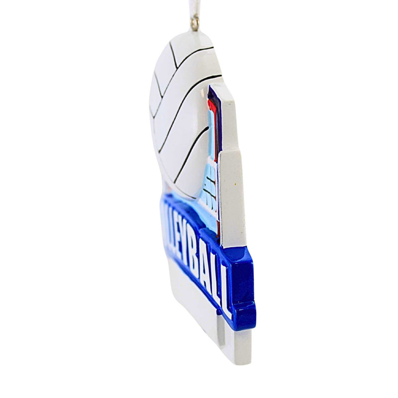 Polarx Volleyball Shield - - SBKGifts.com