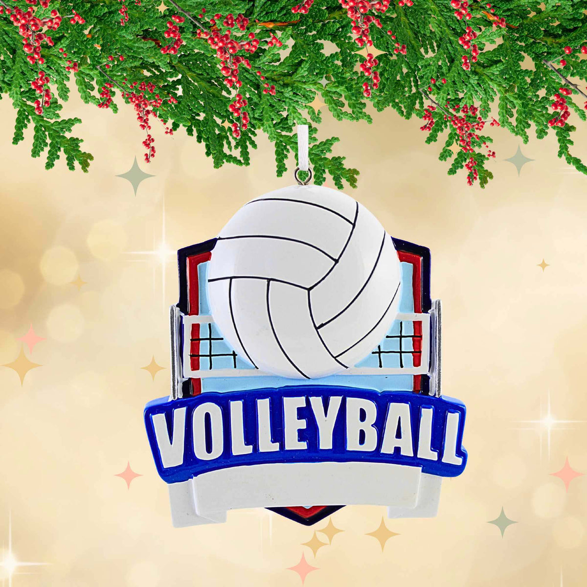 Polarx Volleyball Shield - - SBKGifts.com