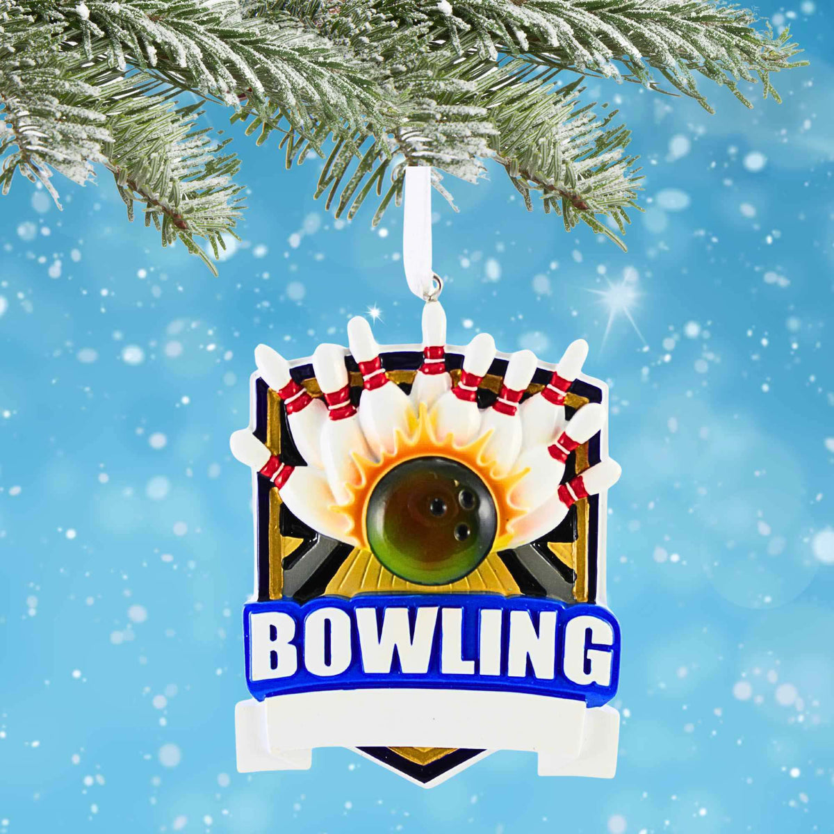 Polarx Bowling Shield - - SBKGifts.com