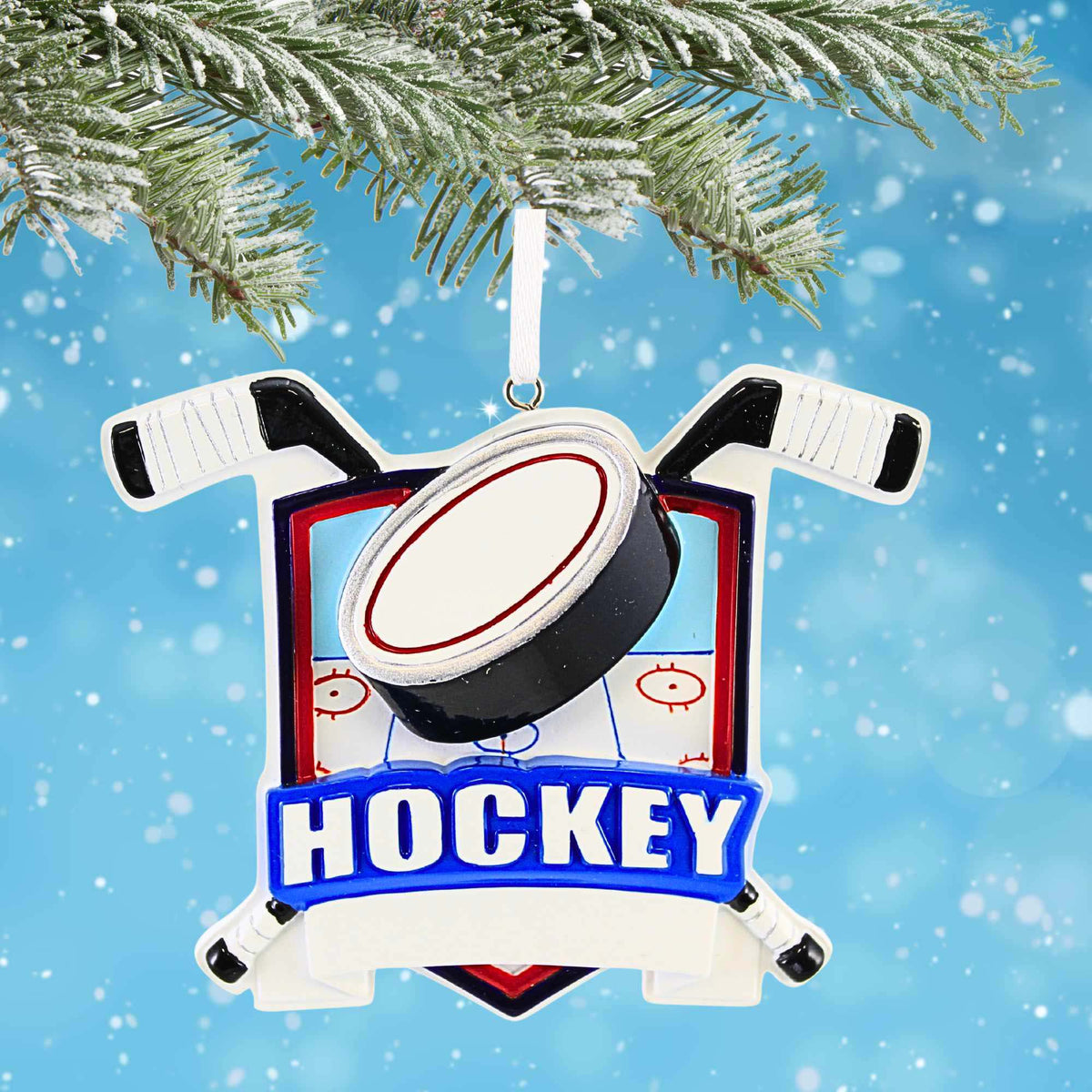 Polarx Hockey Shield - - SBKGifts.com