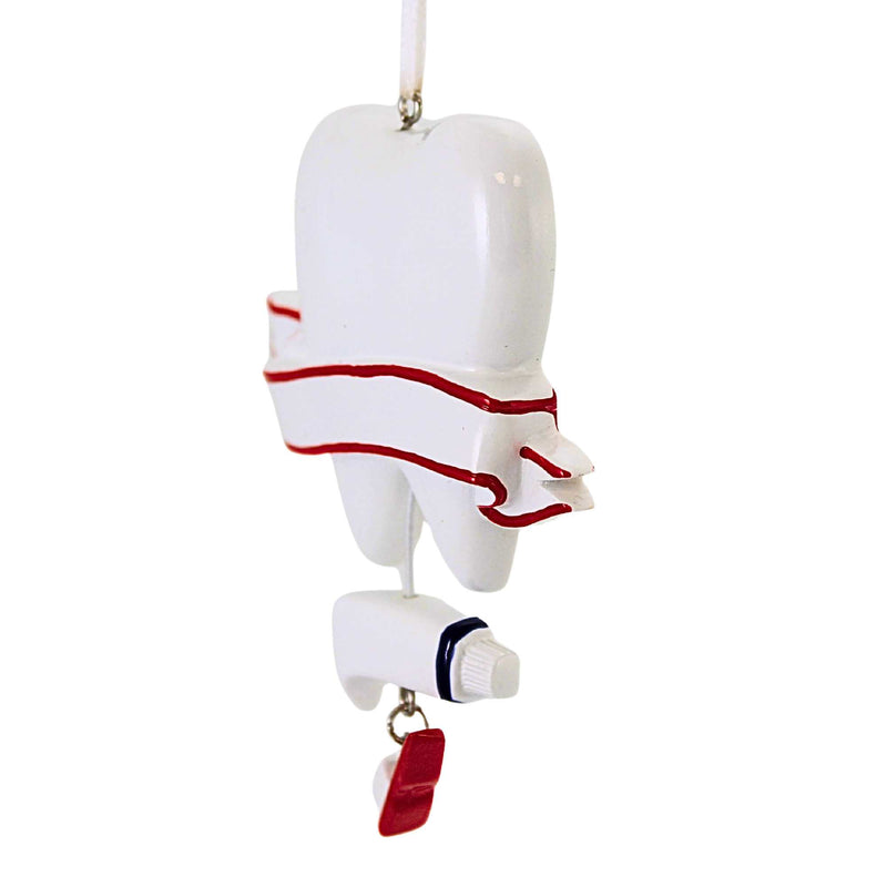 Polarx Dentist - - SBKGifts.com